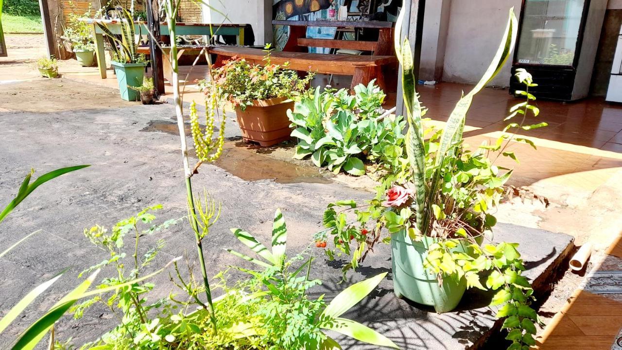 Hostal Sol Iguazu Puerto Iguazú Buitenkant foto